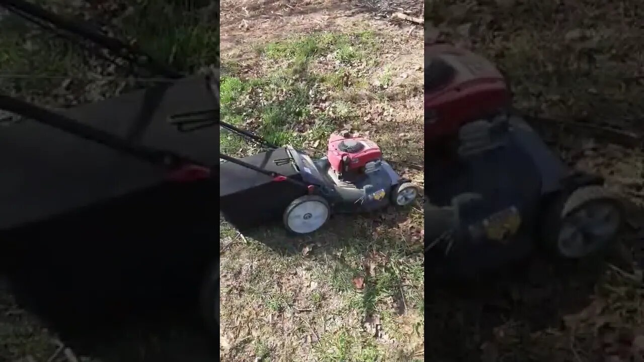 Bramble Patch vs Lawnmower