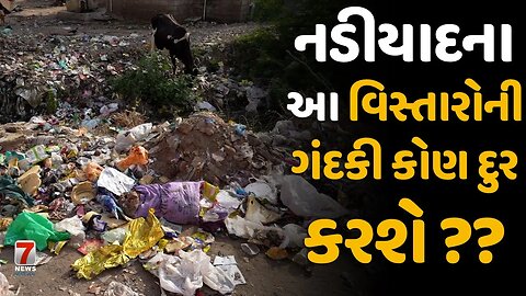 #NADIAD : આ વિસ્તારોની ગંદકી કોણ દુર કરશે ??