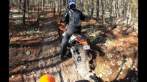 Singletrack 12 5 2020