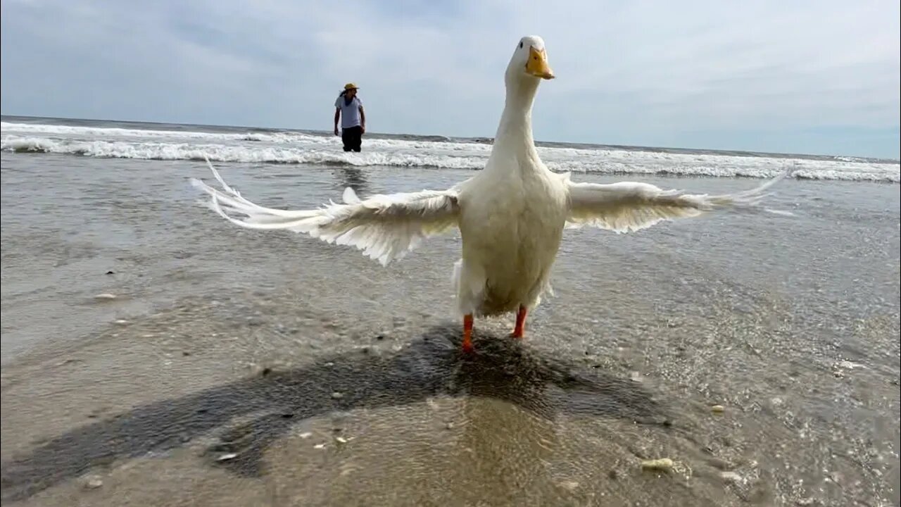 Swimming in the Ocean for the First Time