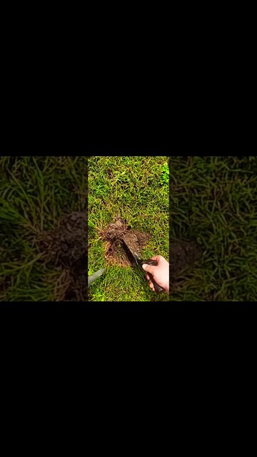 One Hole Challenge • Metal Detecting #shorts @Can You Dig It Metal Detecting