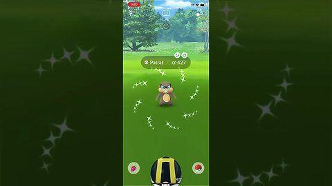 Shiny Compilation