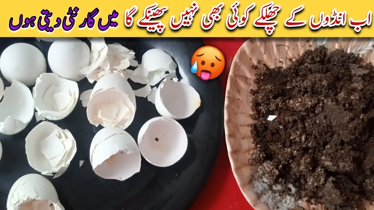 Make gold from egg shells 🤑 Are you still unaware?🔥 | New Kitchen tips & Tricks| Money Saving tips|