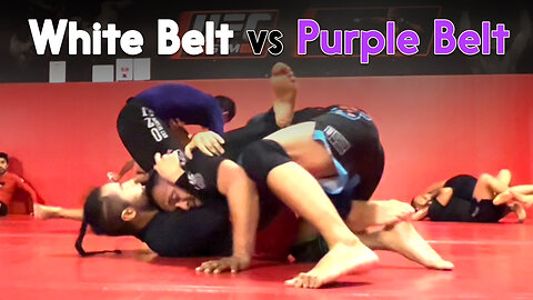 Jiu Jitsu White Belt vs Purple Belt Ray [No Gi] | Circadian MMA (11-02-222)