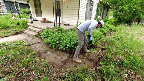 Nature RECLAIMED this property and the CITY did nothing about it