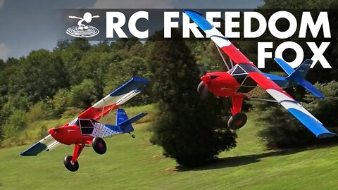 RC Freedom Fox 🦊 STOL Drag Race! 🏁