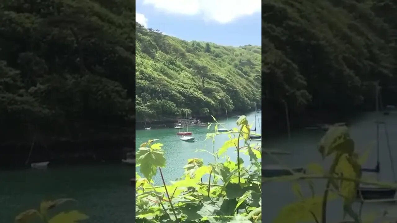 beautiful place to visit #devon #england #shorts