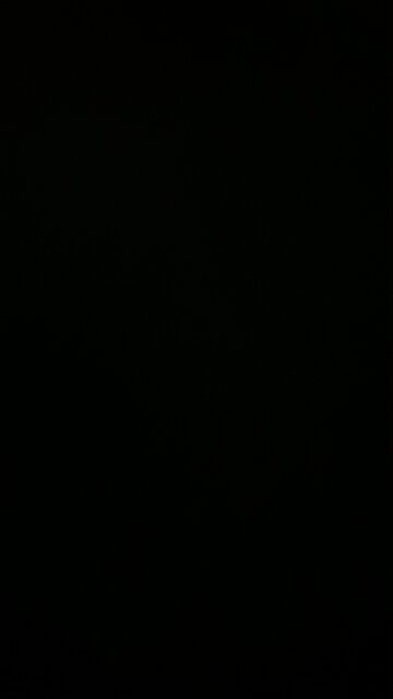 Final world government