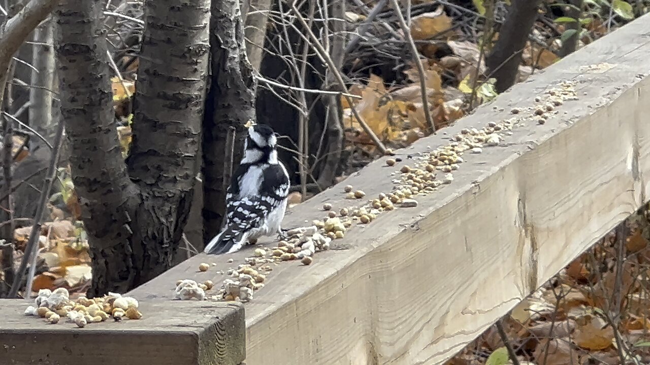 James Gardens Toronto residents