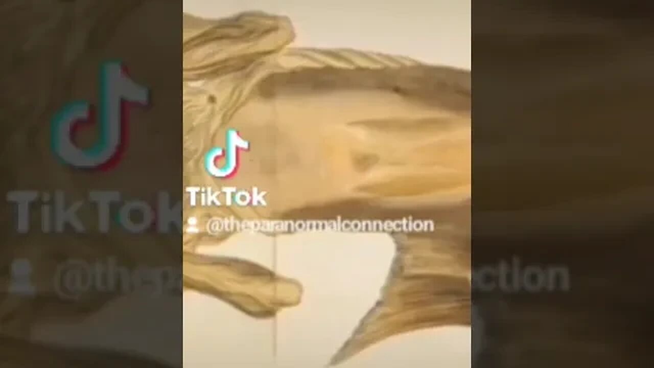 What a peculiar sight