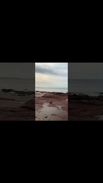 Red sand rocks at the beach