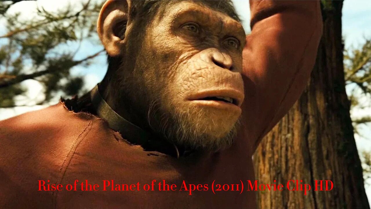 Caesar Growing Up Scene - Rise of the Planet of the Apes (2011) Movie Clip HD