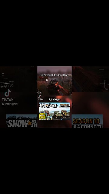 Let's Check the Fox Cam #shorts