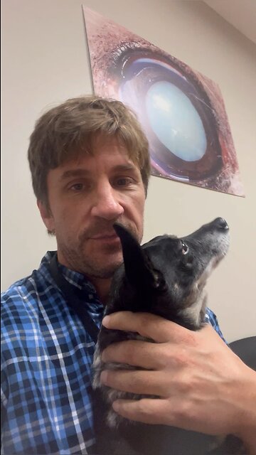 Dog goes to eye doctors #dog #dogs
