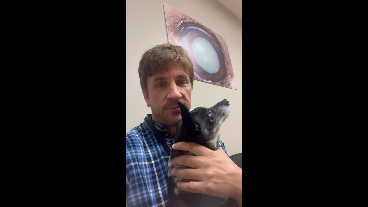 Dog goes to eye doctors #dog #dogs