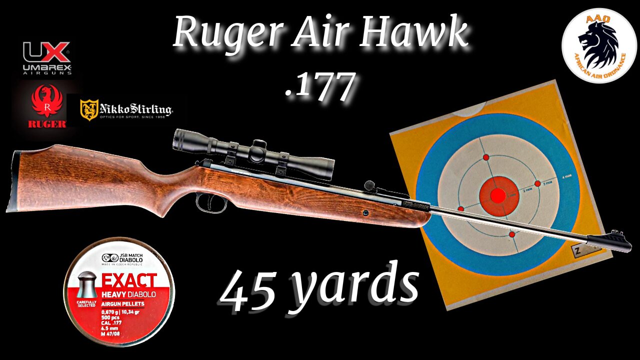 Ruger Air Hawk .177 Accuracy Test: Hitting Targets at 45 Yards with JSB 10.34gn Pellets!