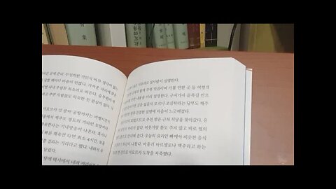바르셀로나 공기의 반은 담배 연기다, 박희용, 고성, 팔마대성당, 요트, 알무다이나궁전, 고딕양식,카탄란어