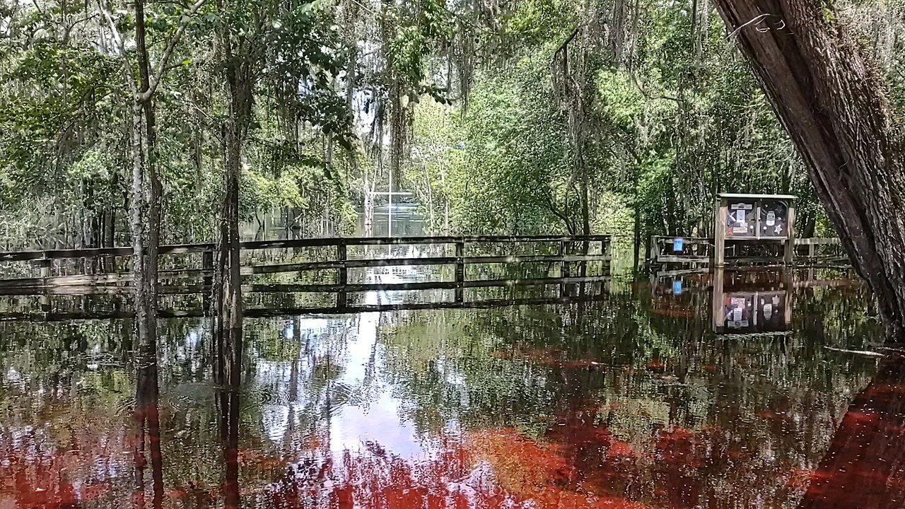 100 yr flood Florida. Corner of Inchnetucke n Santa Fe River minutes from High Springs