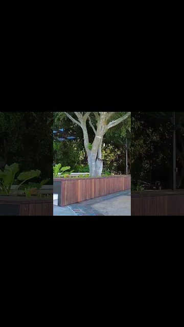 A fine afternoon in Brisbane