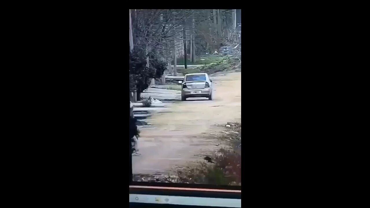 #funnyvideos