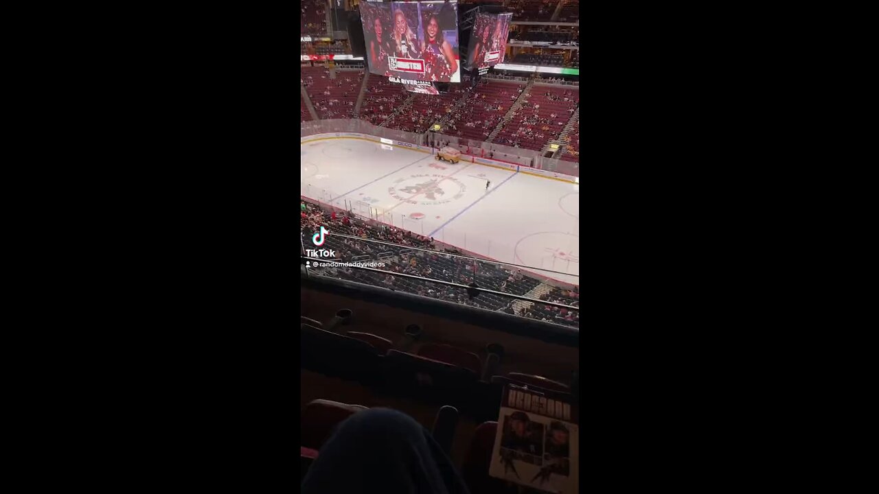 The last coyotoes game in Glendale