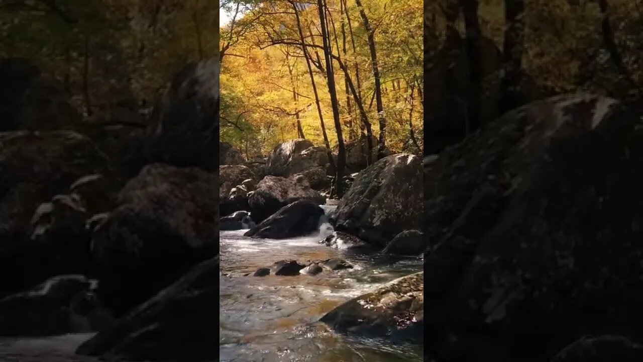 1 minuto de meditação ao sons da natureza