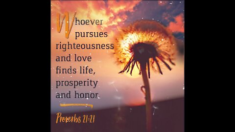 Proverbs 21:21