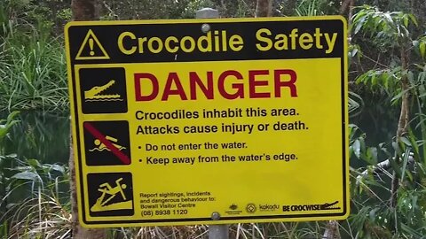 Fingers Crossed There Are No Crocodiles (Video Journal)
