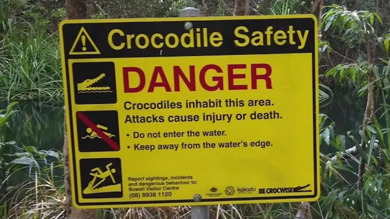 Fingers Crossed There Are No Crocodiles (Video Journal)
