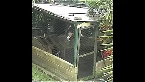 The Greatest Escape