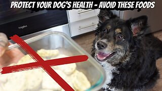 Protect Your Pup: The 5 Most Harmful Foods for Dogs