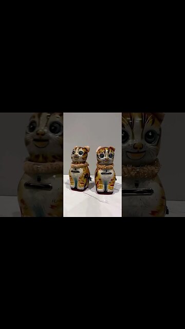 Not these crazy cats! 🙀🙀 #shorts