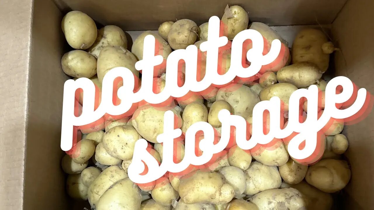 Potato Storage | PotatoStorage in Cardboard Boxes | Kennebec Potatoes