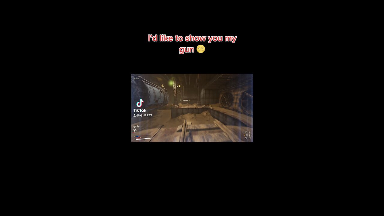 I’d like to show you my gun 🌝