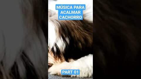 MÚSICA PARA ACALMAR CACHORRO (PART 01)