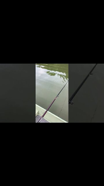 #shorts the jon boat saga continues