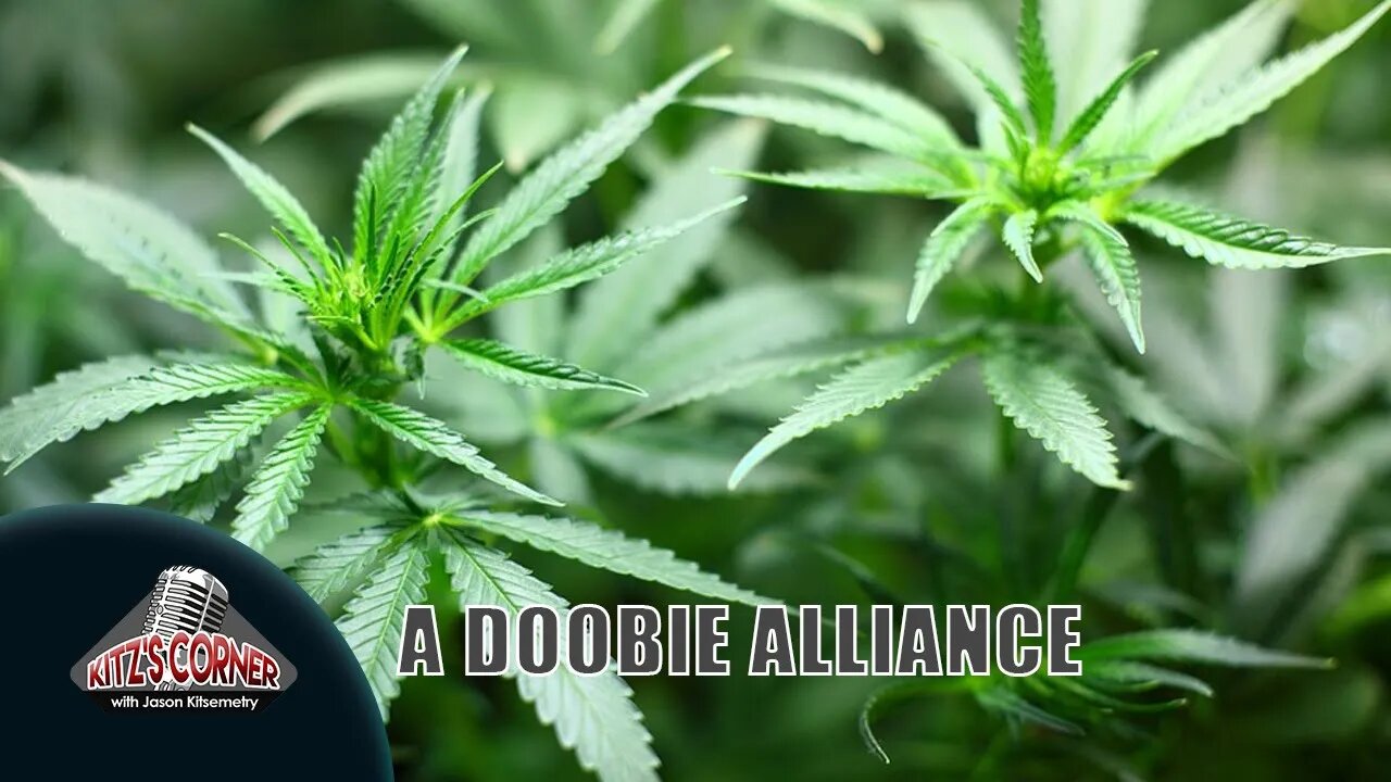Snoop Dogg Teams with Koch Bro to push Legalization
