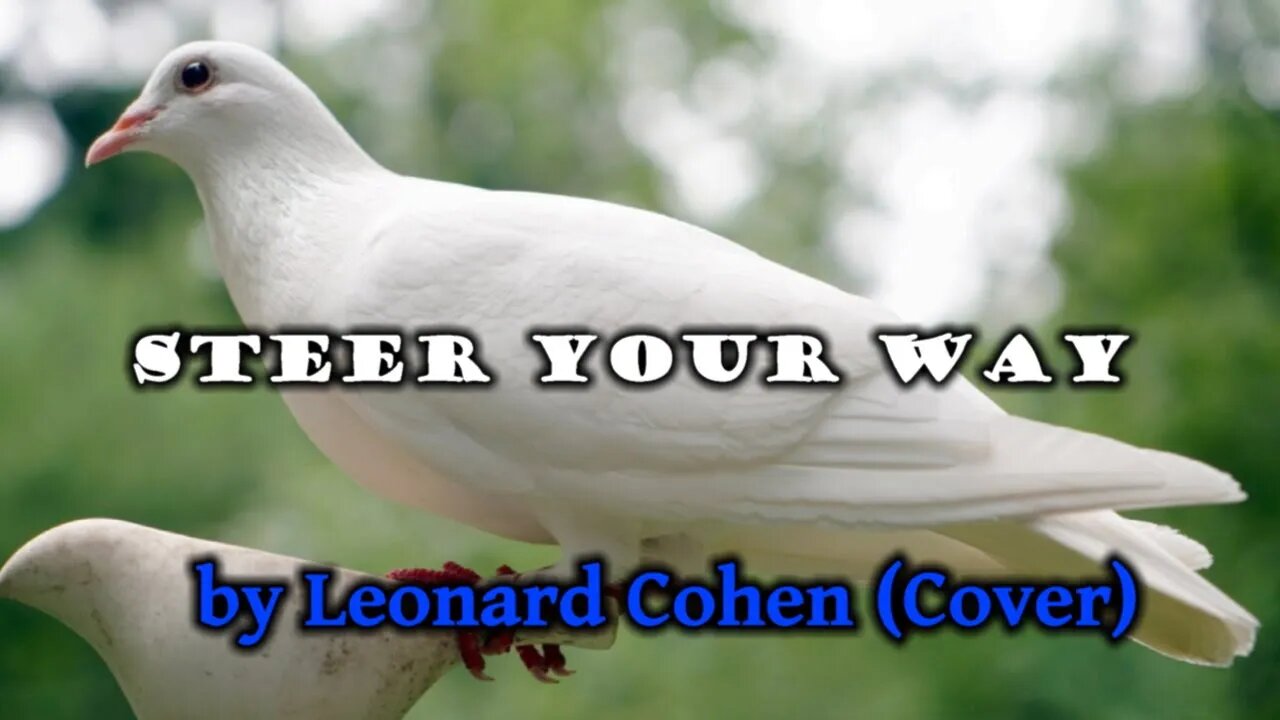 Steer Your Way by Leonard Cohen (Cover)