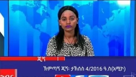 ኽምጣጘ ጂጘ ታኽሰስ 4/2016 ዓ.ስ (አሚኮ)