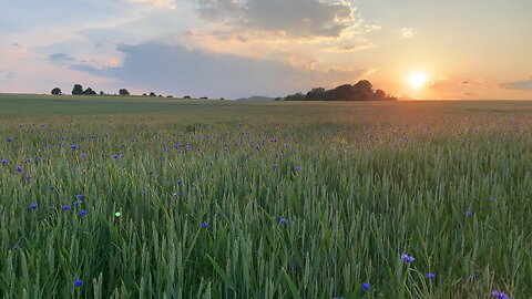 Beautiful countryside scenery