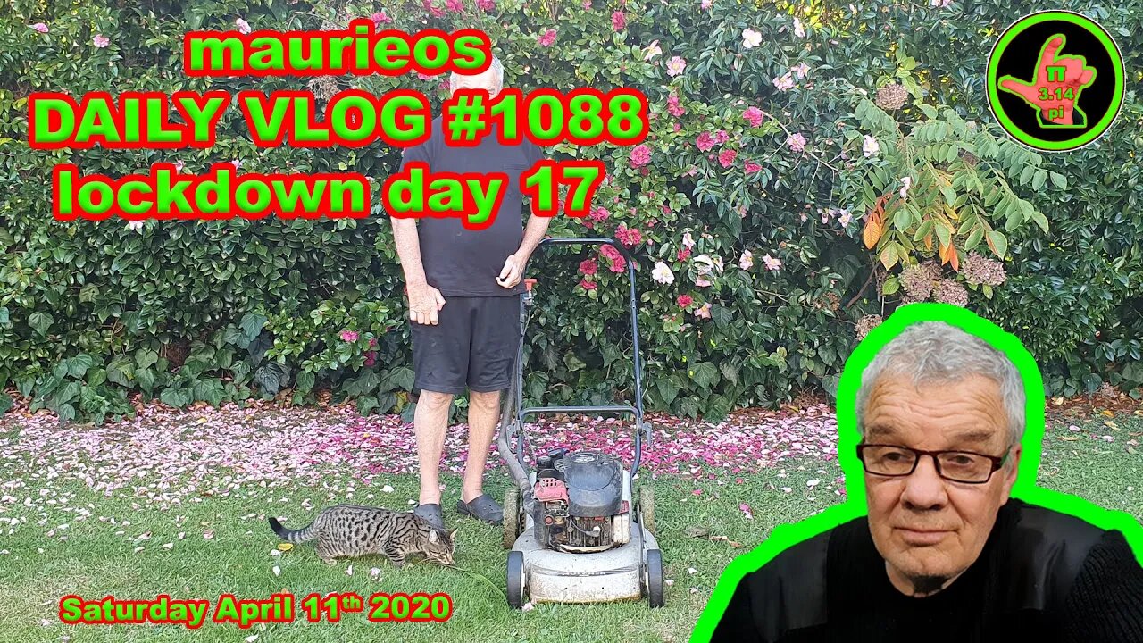 maurieos DAILY VLOG #1088 lockdown day 17