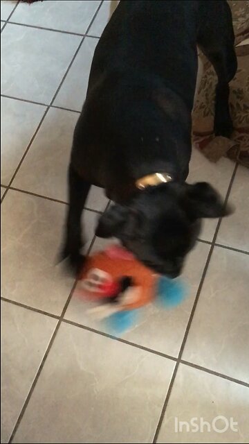 Baker eating leftist Rioters