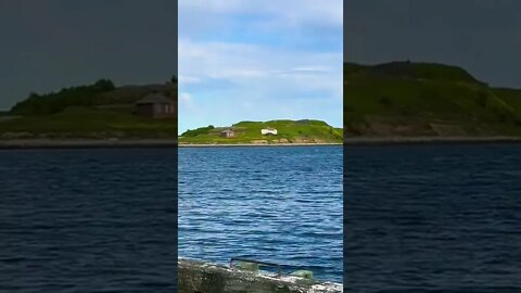 An Island in downtown Halifax