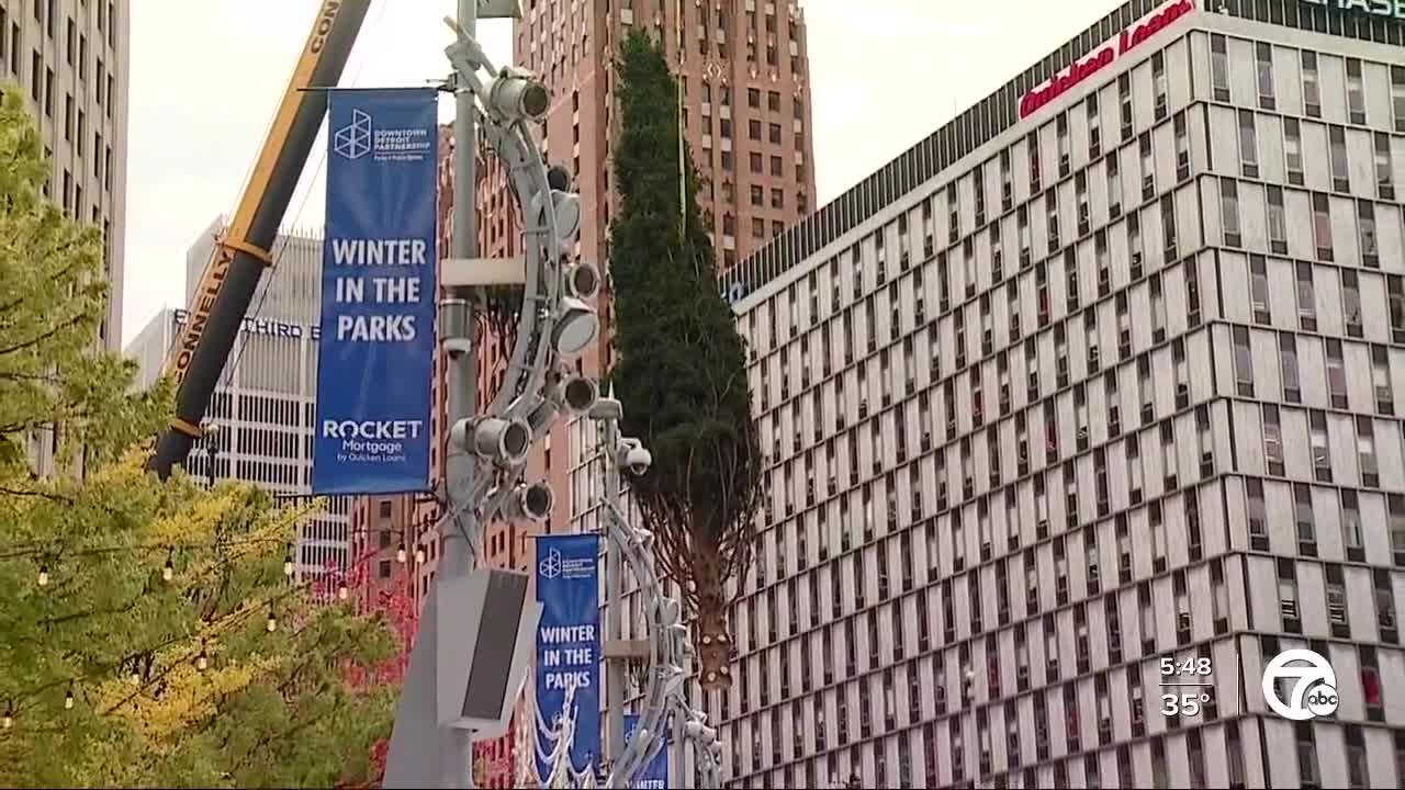 From Campus Martius to the White House, MI tree farm has been making spirits bright for generations