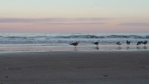 Soothing Beach Views