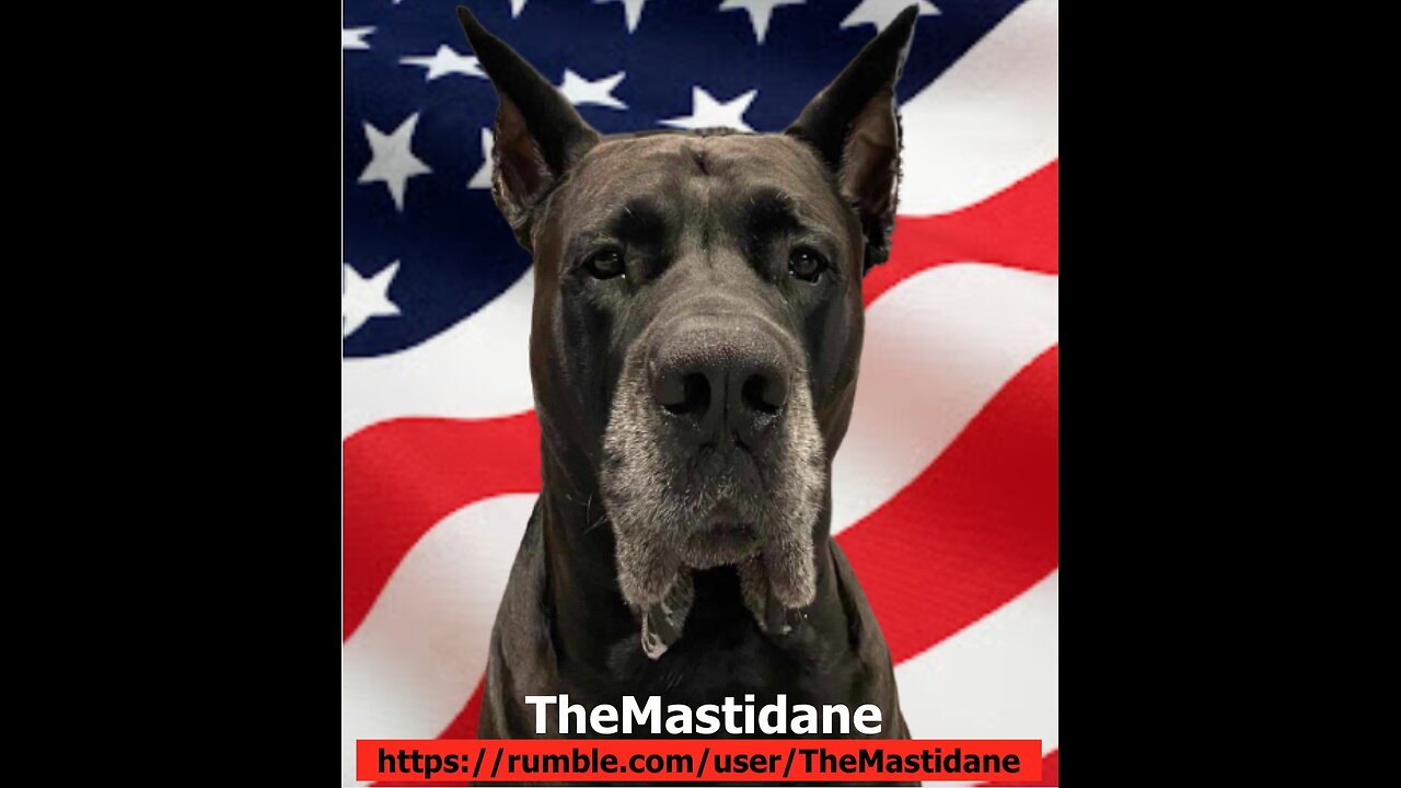 TheMastidane on the Border