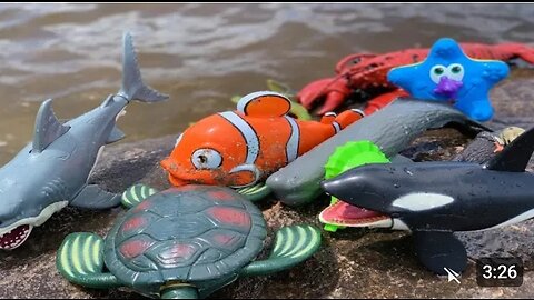 Sea Animal Toys This Summer at the Shore