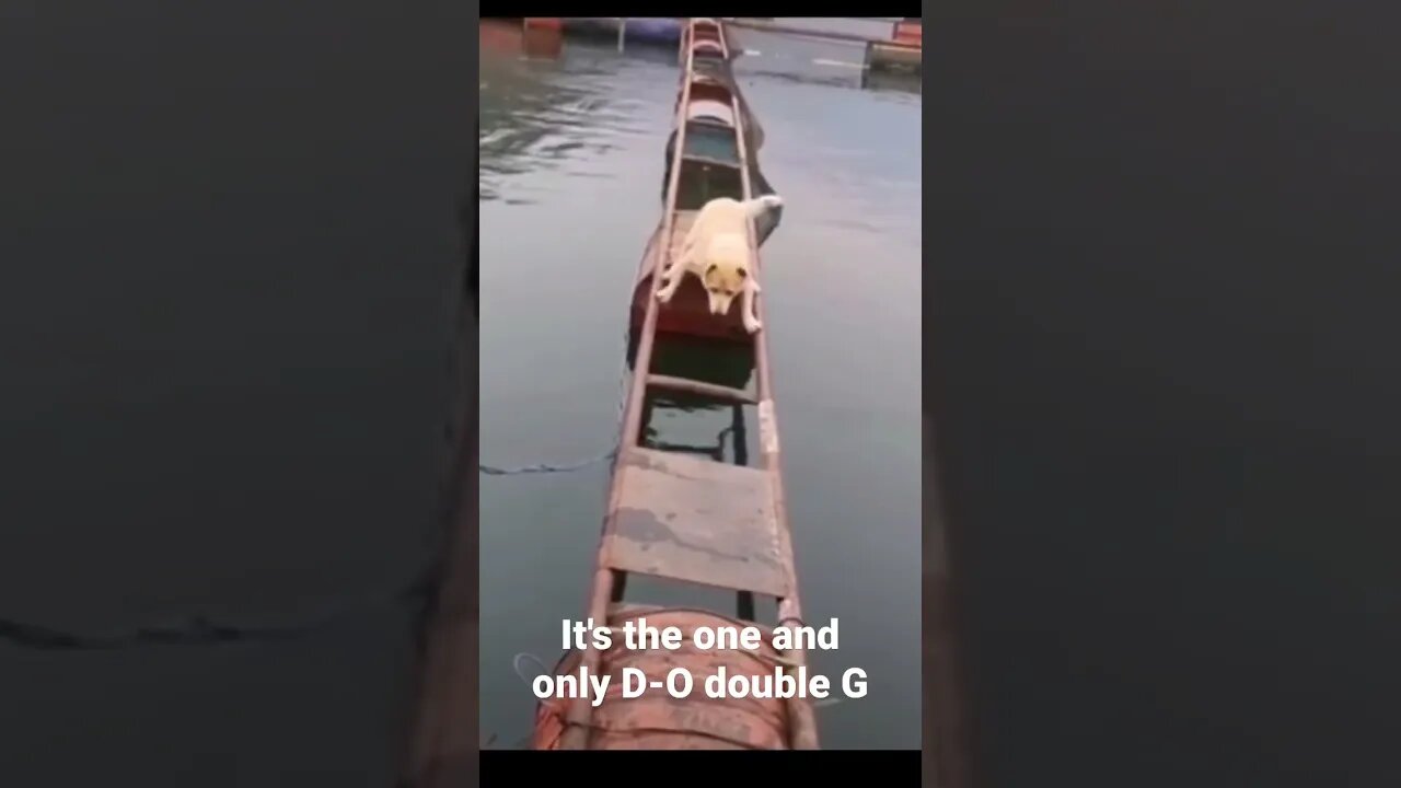 It's the one and only D-O double G #shorts