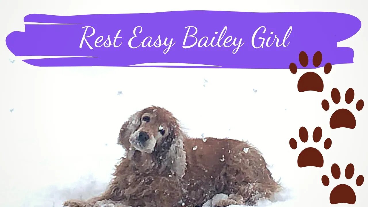 Vlog 40! Rest Easy Bailey Girl - Spring is here!