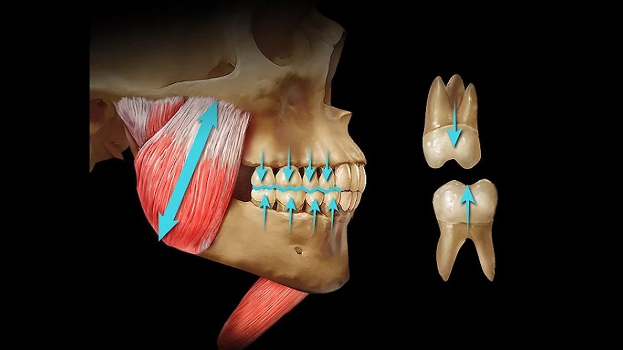 The Dental Balance Zone By Dr Mike Mew
